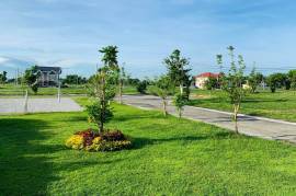 Lot for sale in The Courtyard  Cabanatuan City Nueva Ecija