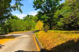 Lot for sale in CANYOON WOODS Tagaytay