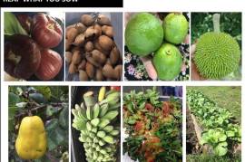 Farm lot for sale in LEISURE FARMS Lemery Batangas